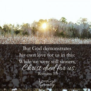 Processed with VSCOcam with m3 preset