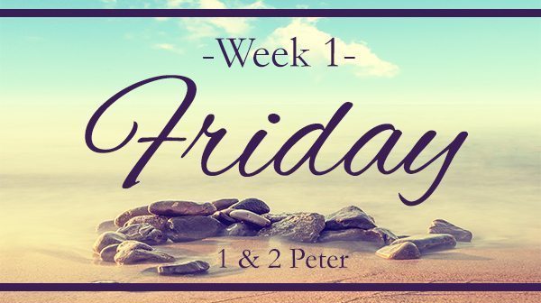 The Mark Of A True Believer