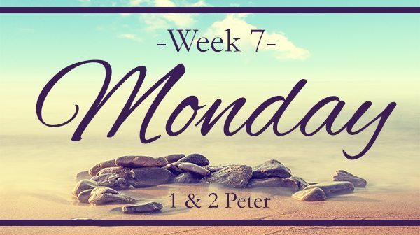 Week 7- The Profile of a False Teacher