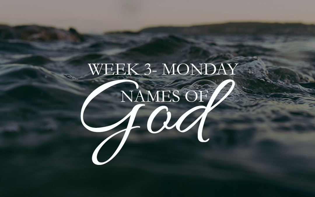 Week 3 – Prince of Peace