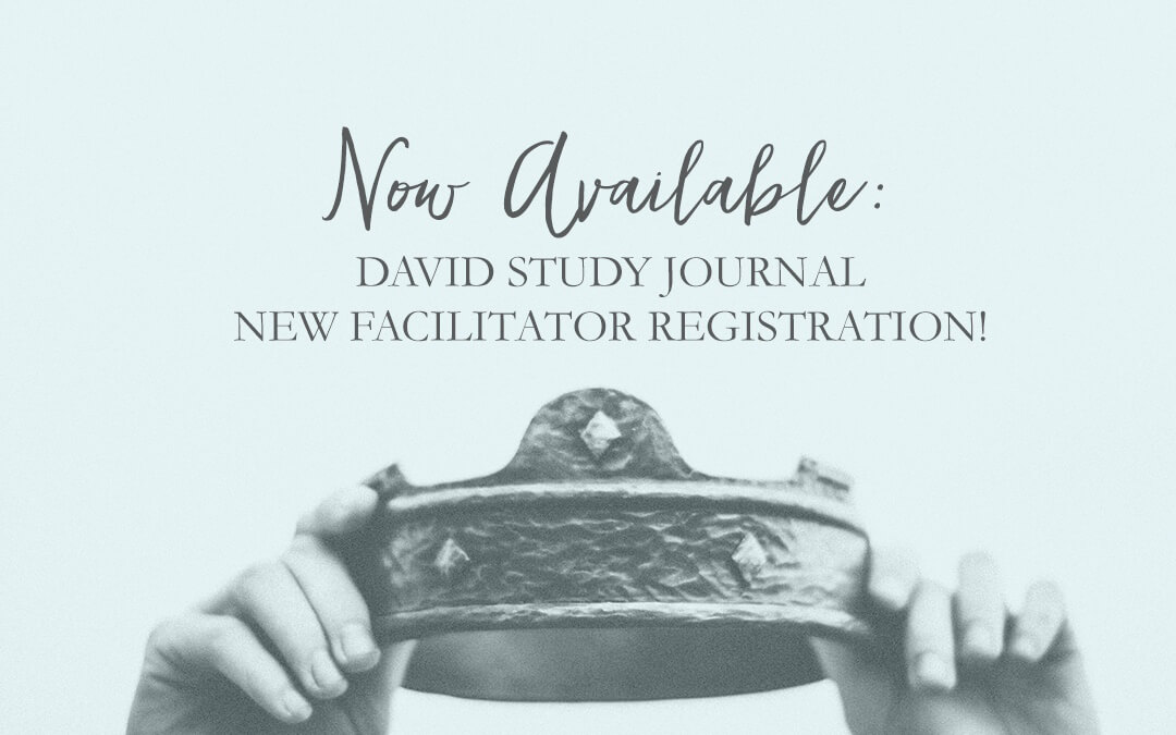 *New* Facilitator Enrollment & David Materials Now Available!