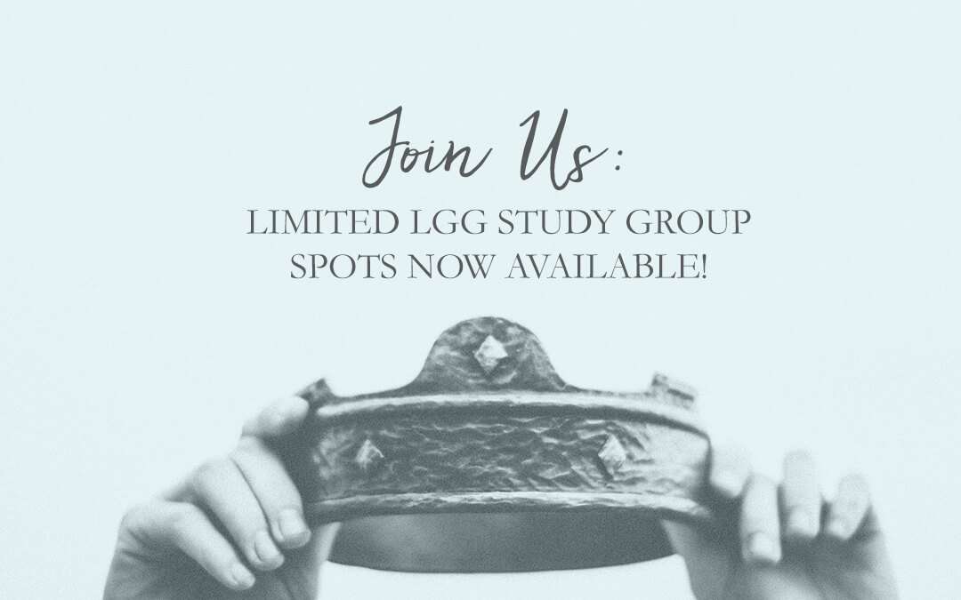 Join a Group for our David Study!