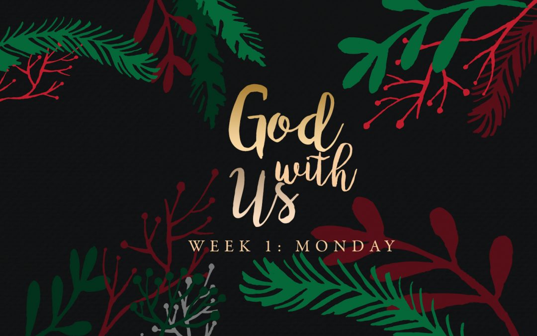 Week 1: The Promise of a Savior