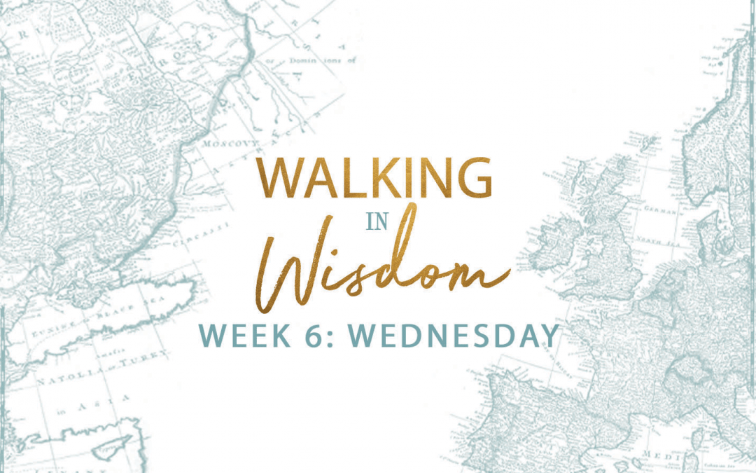 Building A Life-Long Perspective of Wisdom