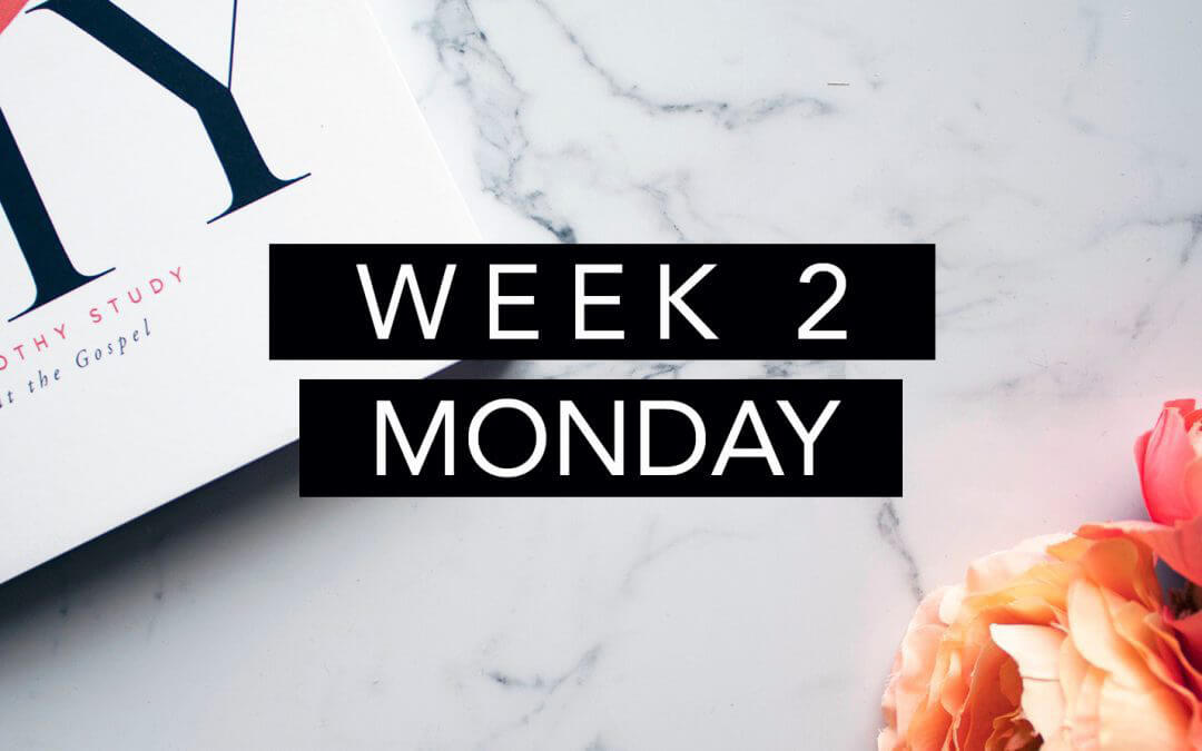 Week 2- What To Do When The Flood Waters Rise