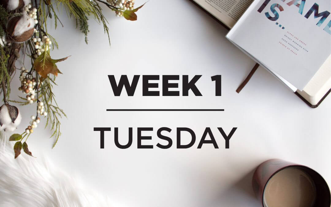 A Star Shall Come…