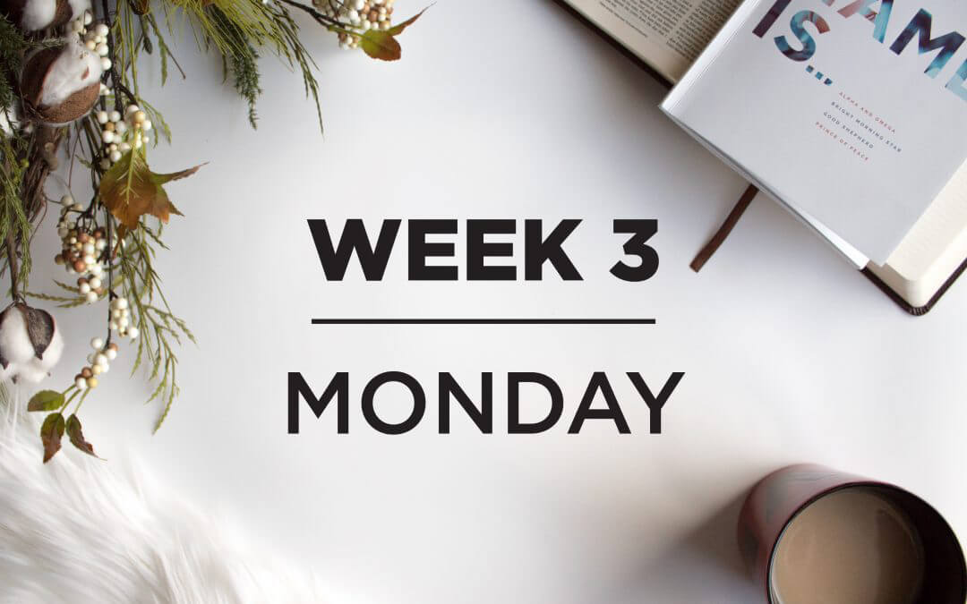 Week 3: Good Shepherd