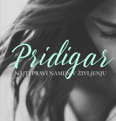 Pridigar