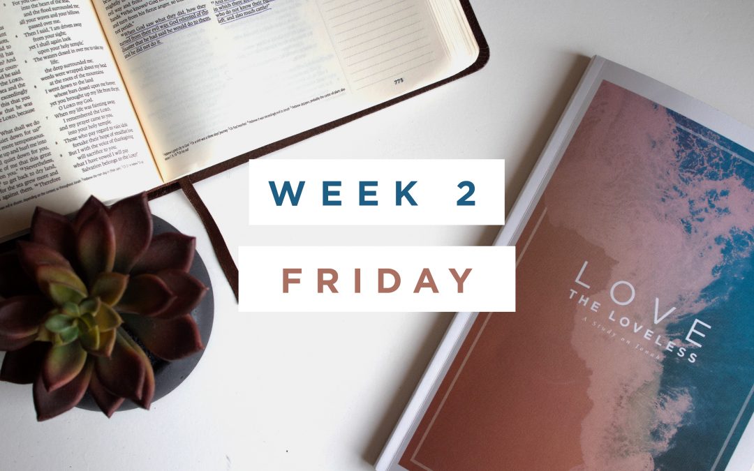 Seeing Through the Eyes of Mercy