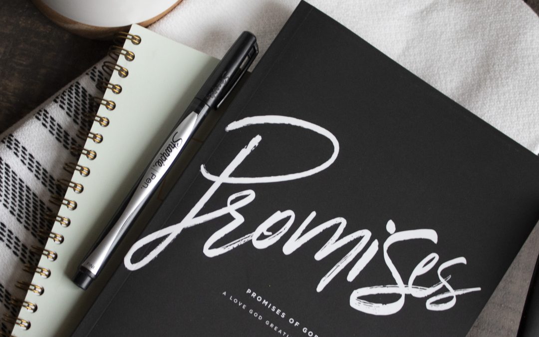 Announcing Our Next Study…Promises of God