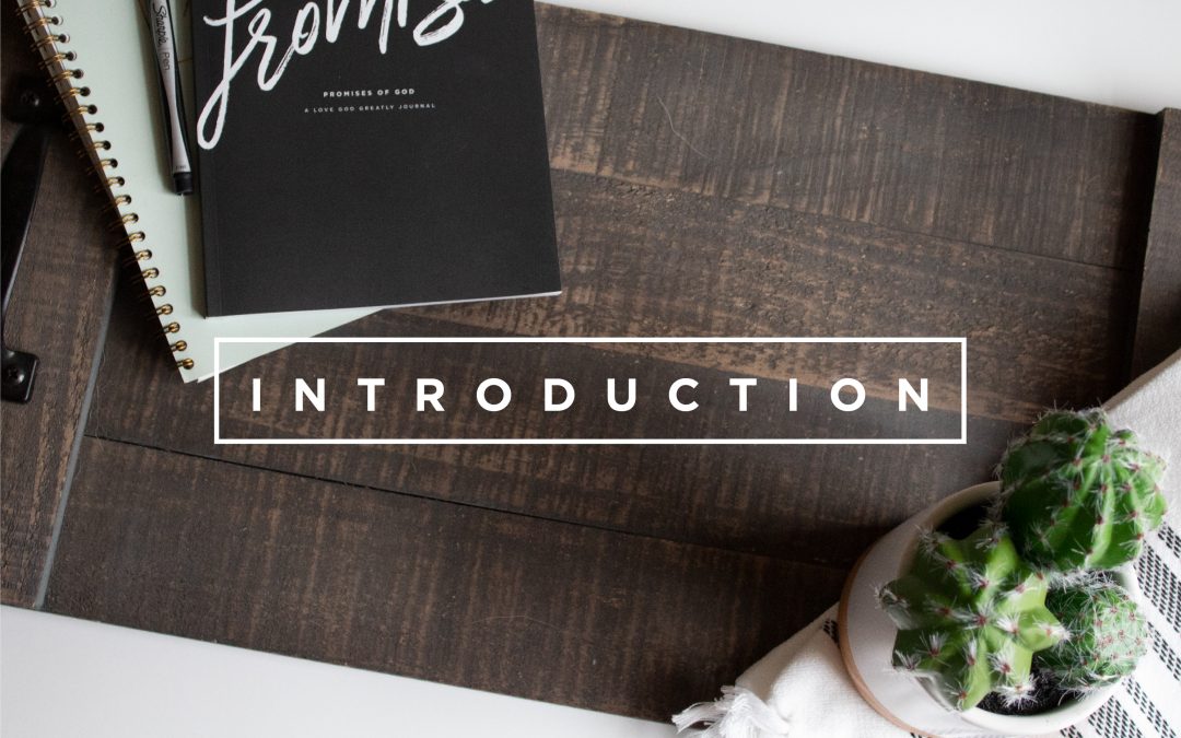 Introduction to Promises of God