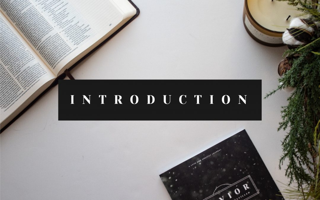 Savior Introduction