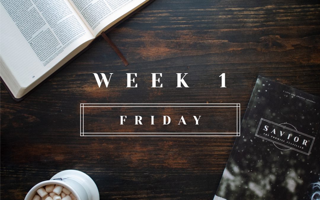 The King is Bringing Salvation