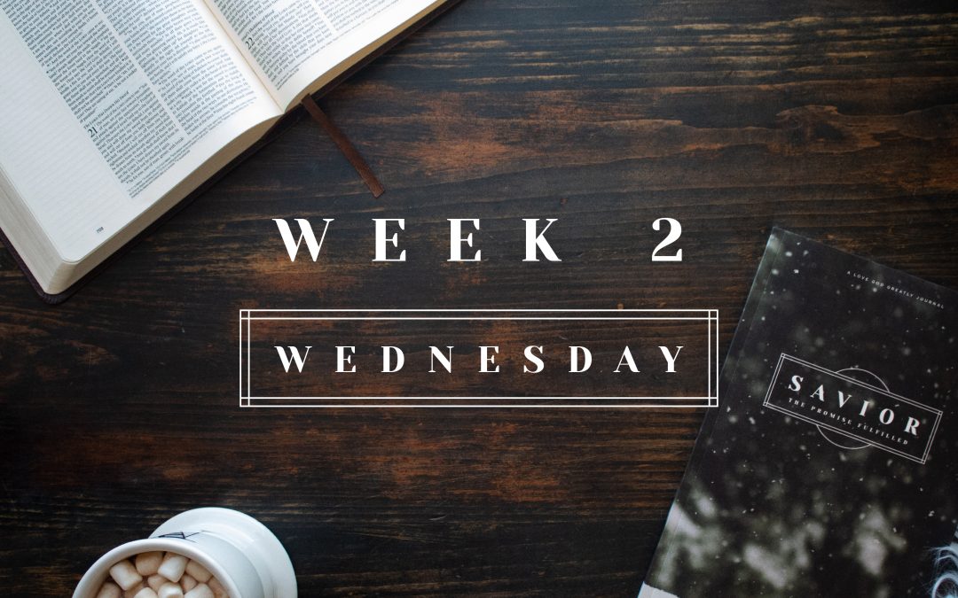 See the Word Become Flesh