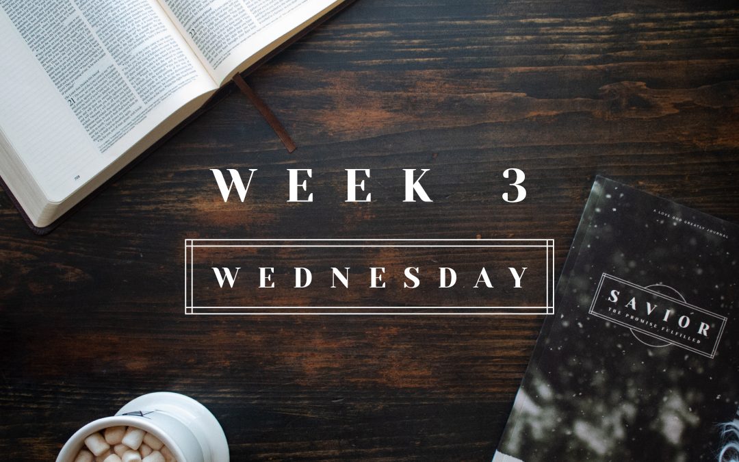 You Shall Call His Name Jesus