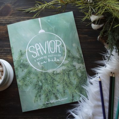 Savior for Kids bible study Journal