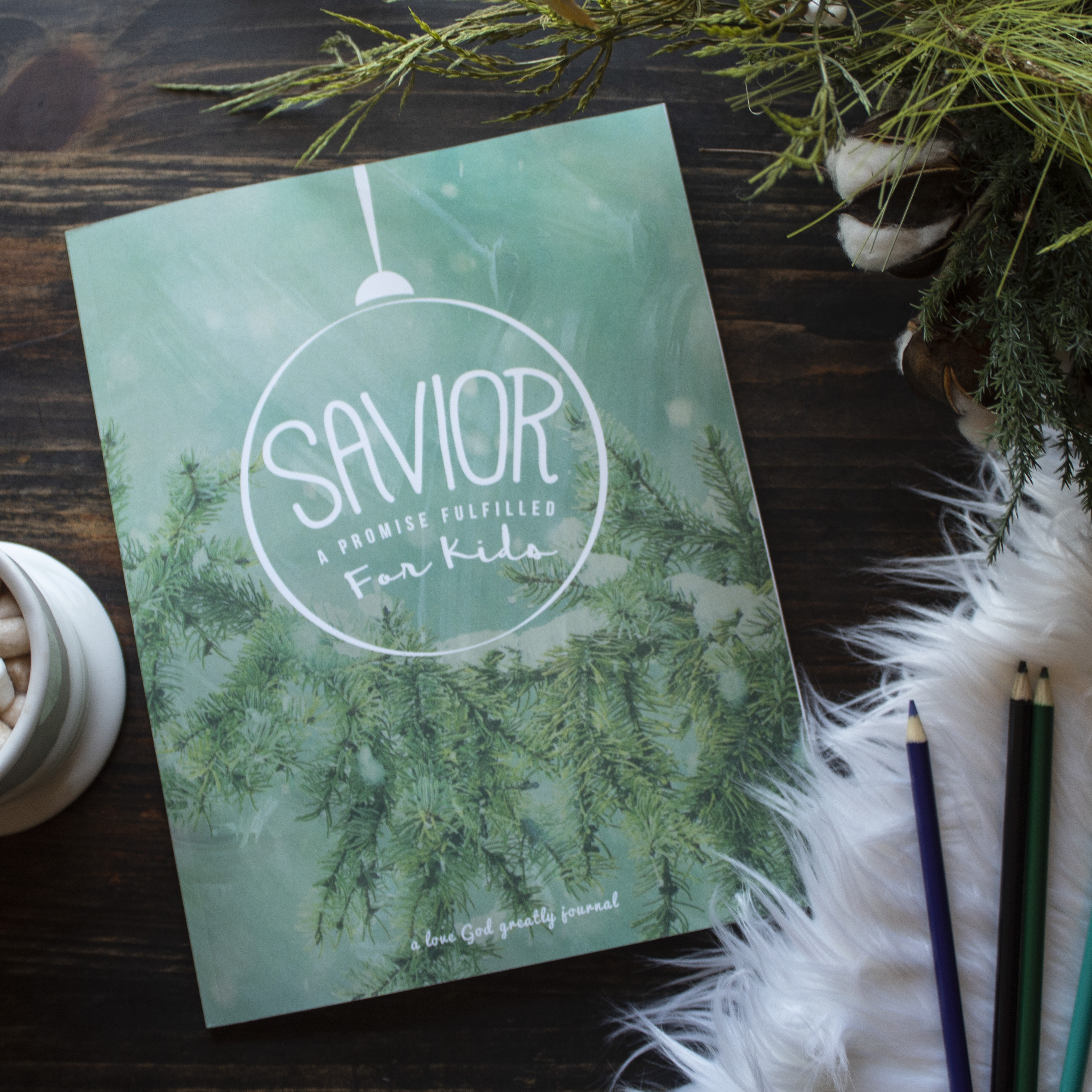 Savior for Kids bible study Journal