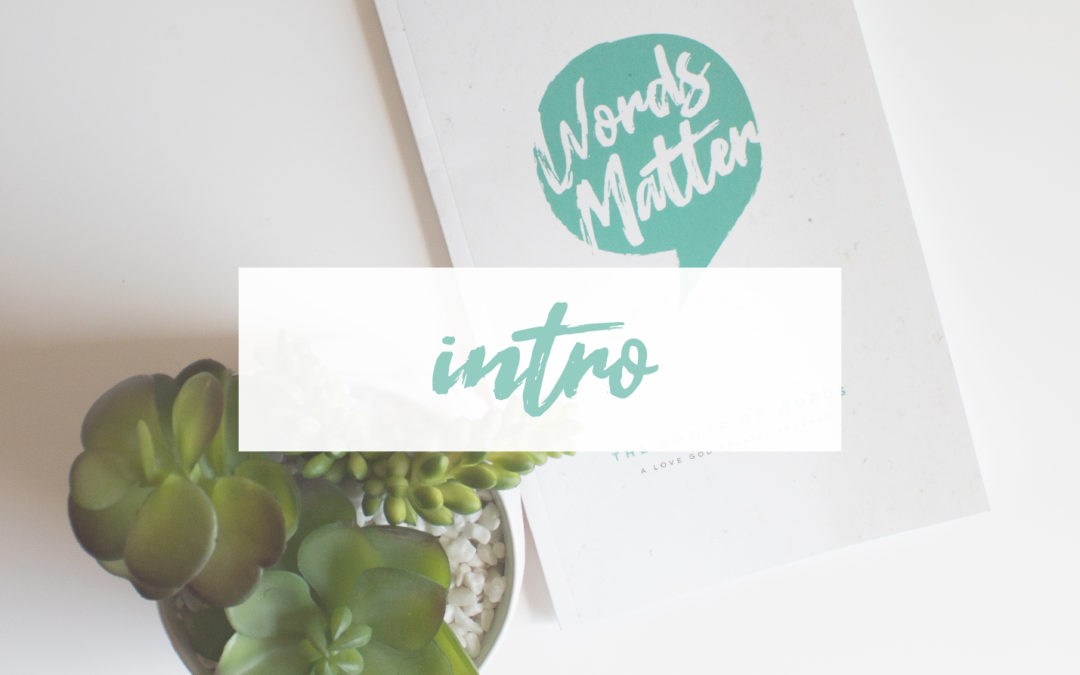 Words Matter Introduction