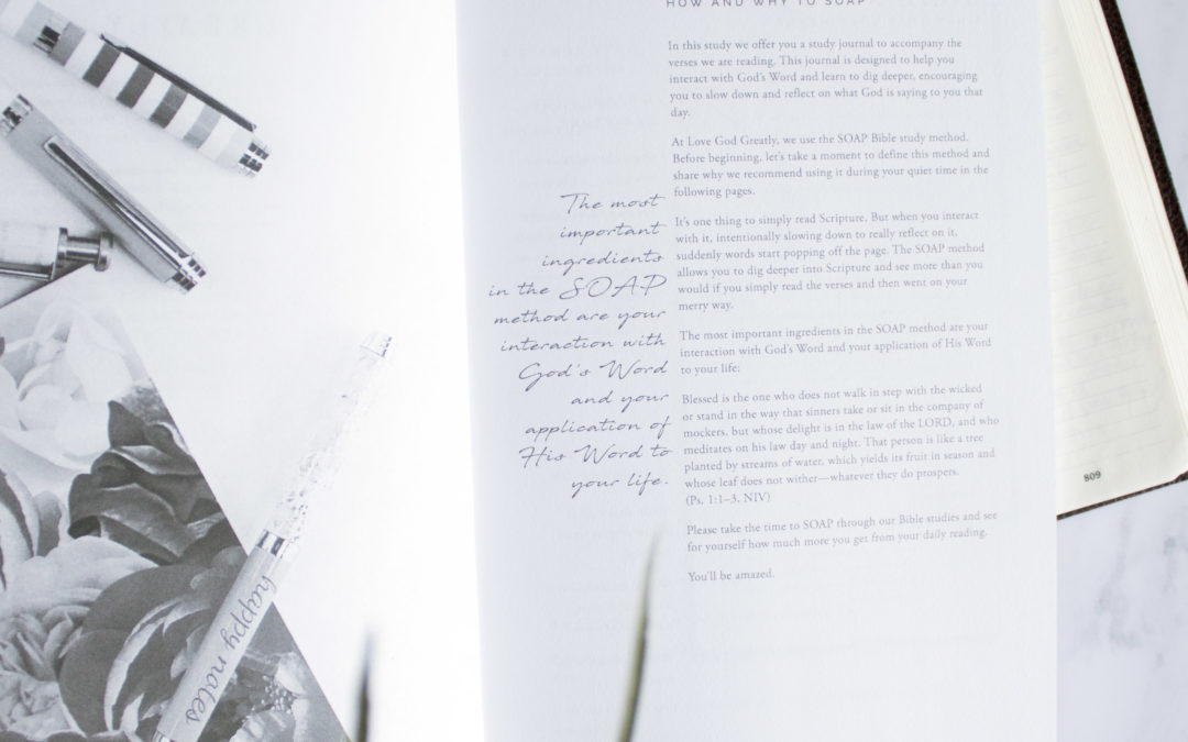 Looking for a Thanksgiving or Advent Study to Do With Your Friends? We’ve Got You Covered!