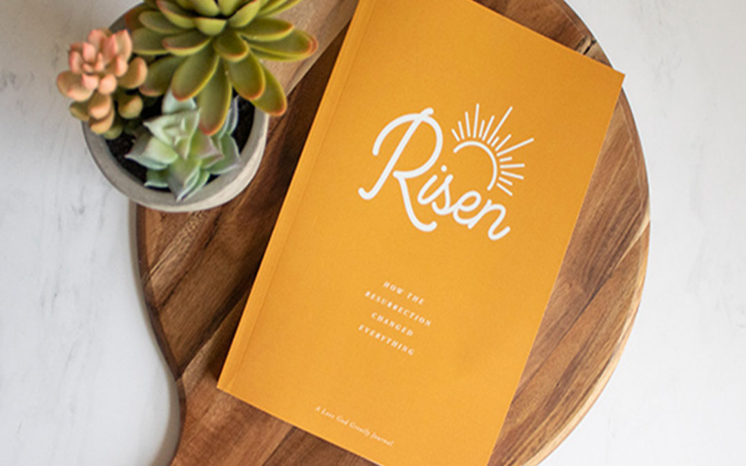 Our Next Study…Risen