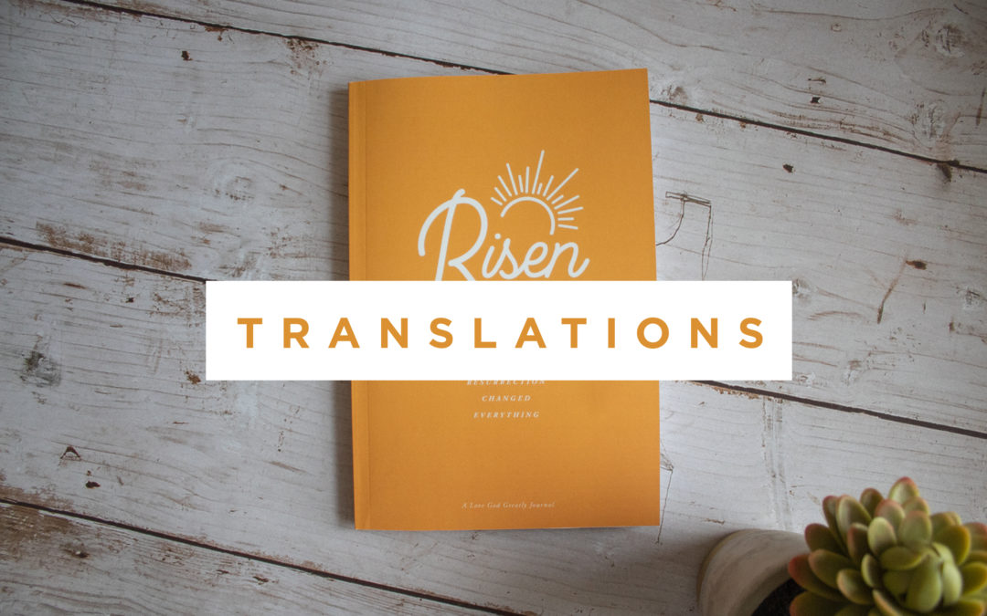 A New Understanding of Serving (Risen Translations)