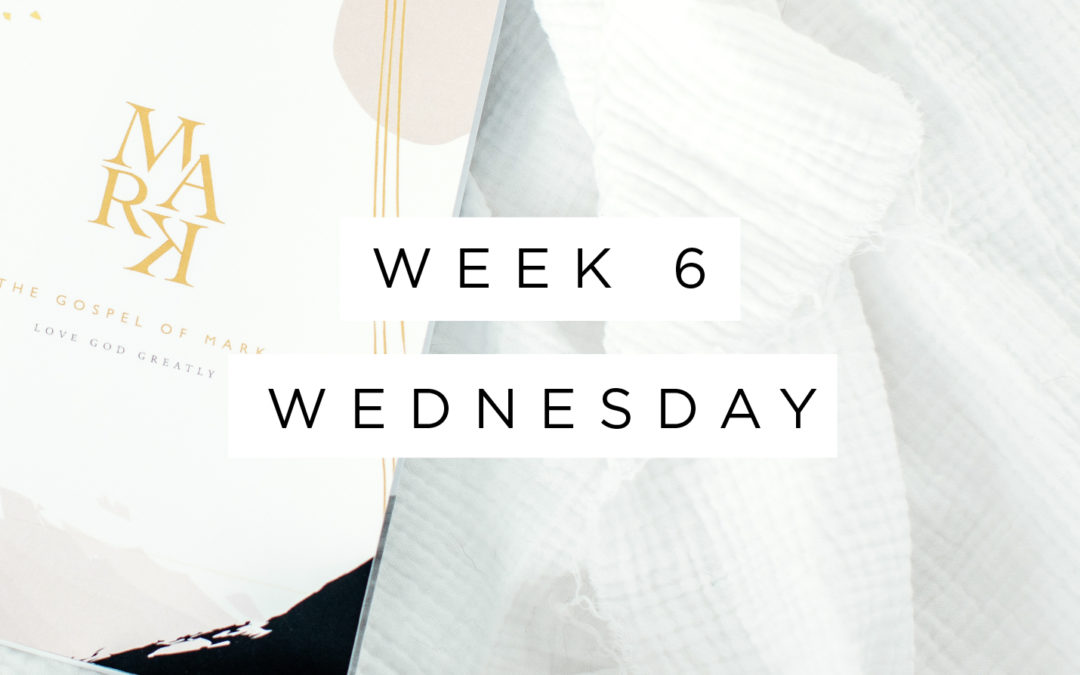 The Suffering of Christ