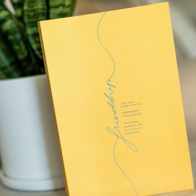 Friendship Bible Study Journal