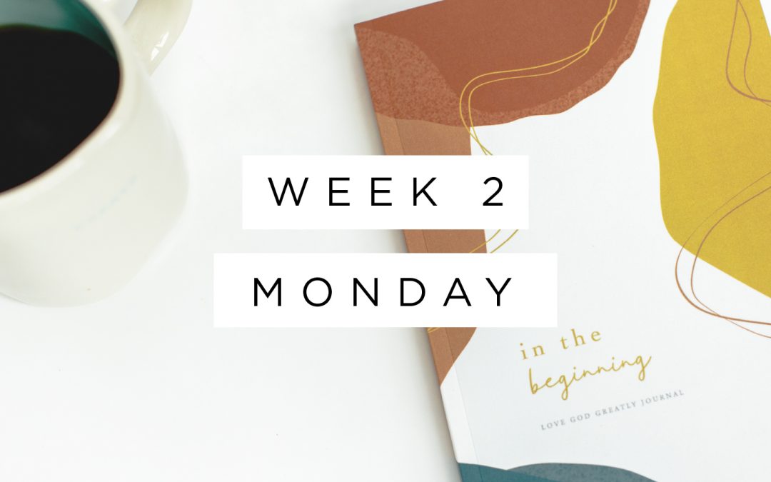 How the Imago Dei Changes Everything