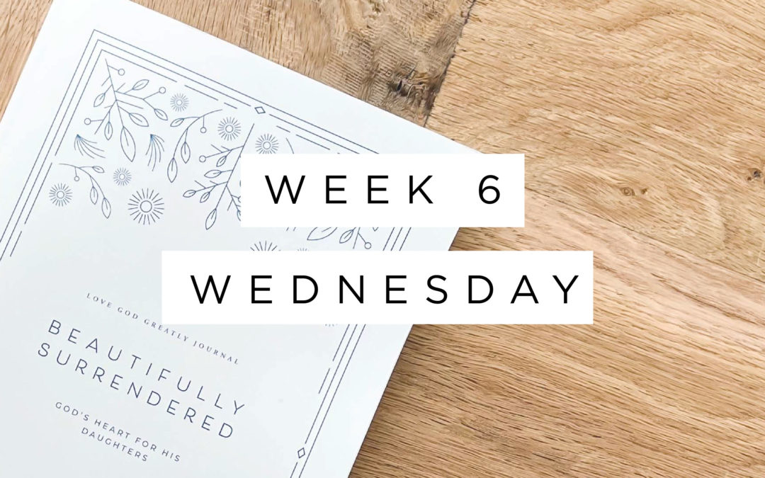 What We Have Seen and Heard