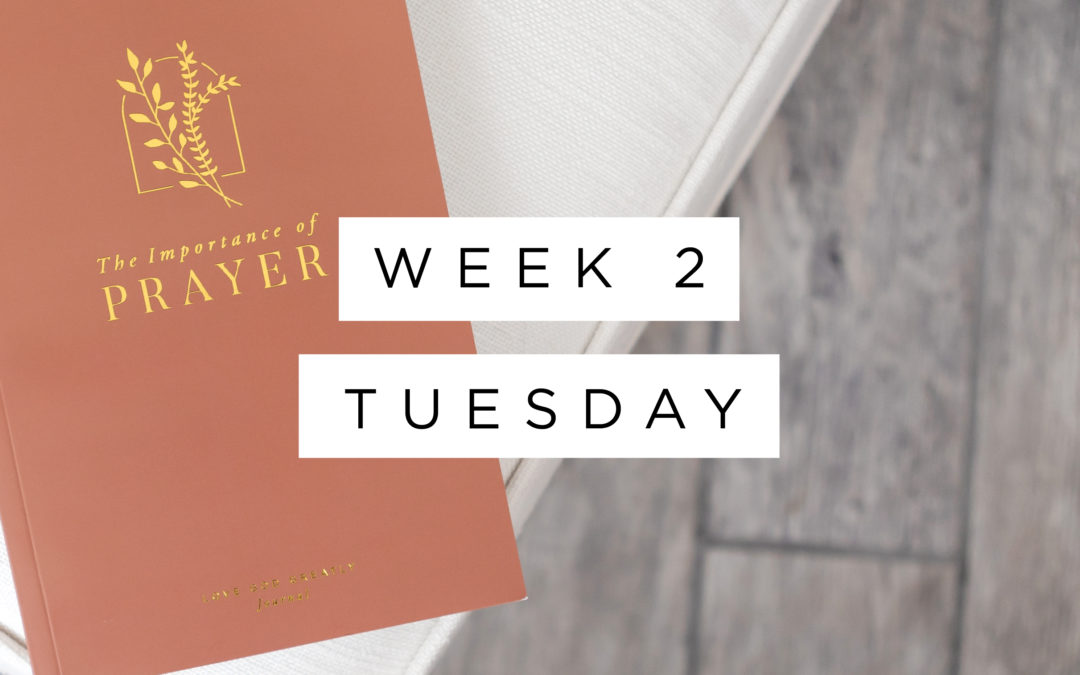 Women of Prayer: The First Archaeologist