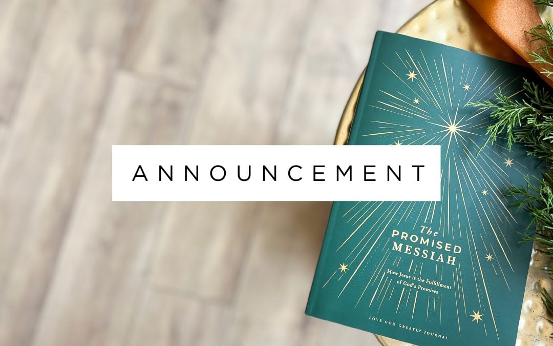 Announcing Our Advent Study!