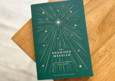 The Promised Messiah