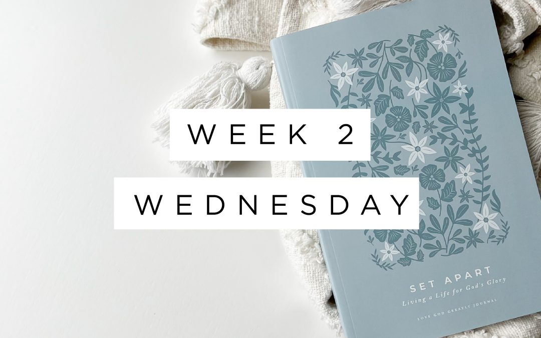 So the World Can See God