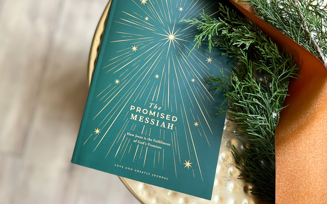 Join Our Newest Bible Study!