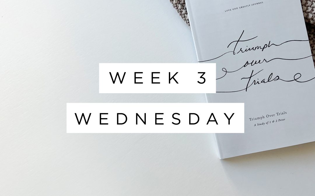 Invitation to Participate